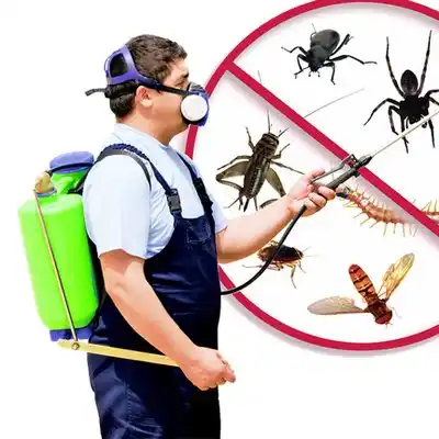pest control Morganton